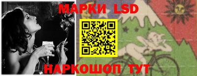 шишки Заволжье