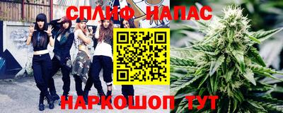 шишки Заволжье