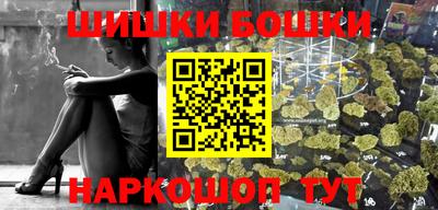 шишки Заволжье