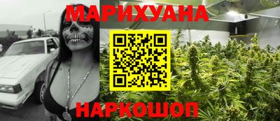 шишки Заволжье