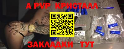 шишки Заволжье