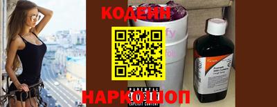 шишки Заволжье