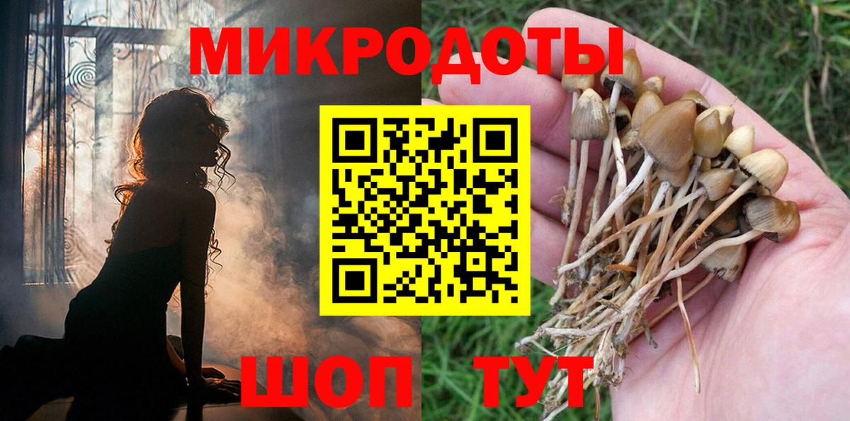 Галлюциногенные грибы Psilocybine cubensis  Вход с VPN  Менделеевск 