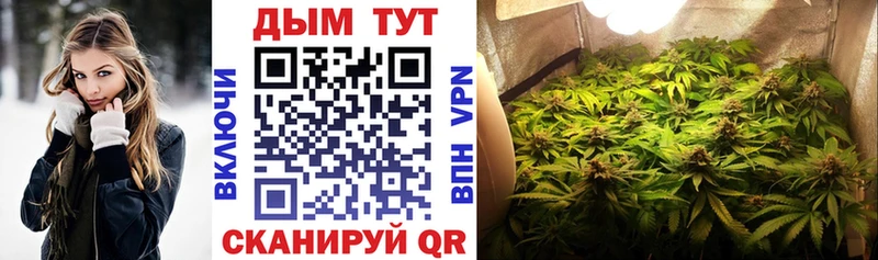 Канабис конопля Менделеевск